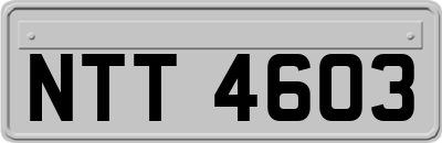 NTT4603