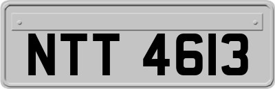 NTT4613