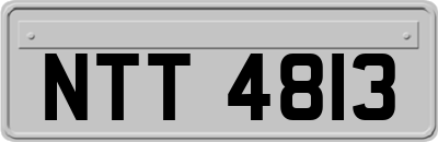 NTT4813