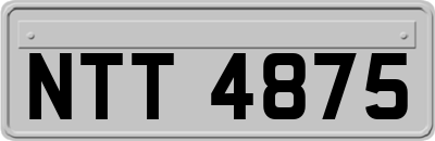 NTT4875