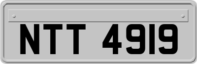 NTT4919