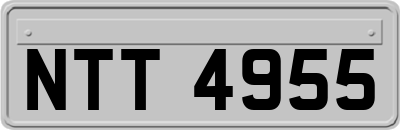 NTT4955