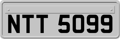 NTT5099