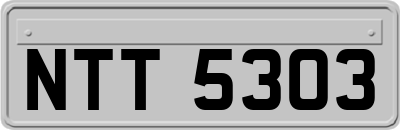 NTT5303