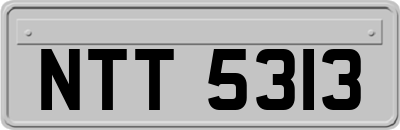 NTT5313