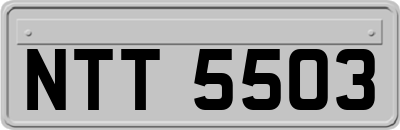 NTT5503