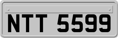 NTT5599