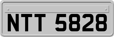 NTT5828