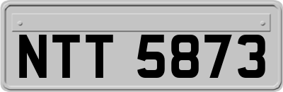 NTT5873