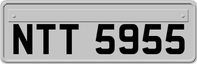 NTT5955