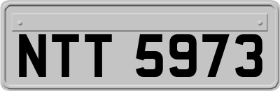 NTT5973