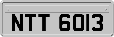 NTT6013