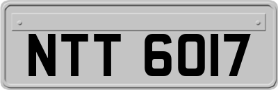 NTT6017