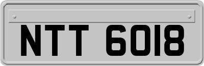NTT6018