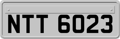 NTT6023