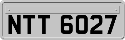 NTT6027