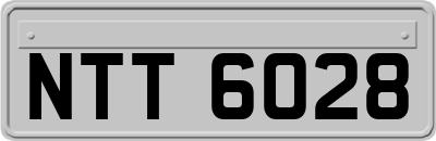 NTT6028