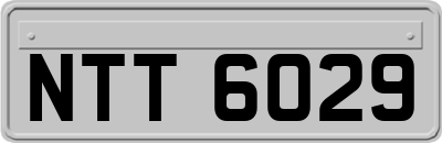 NTT6029