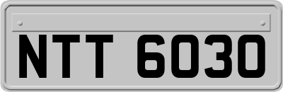 NTT6030