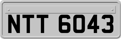 NTT6043