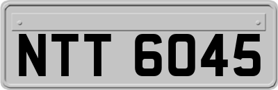NTT6045