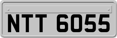 NTT6055