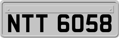 NTT6058