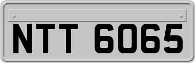 NTT6065