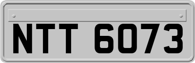 NTT6073