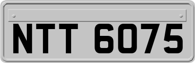 NTT6075