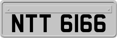 NTT6166
