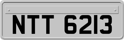 NTT6213