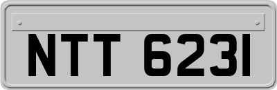NTT6231