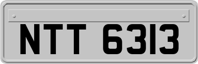 NTT6313