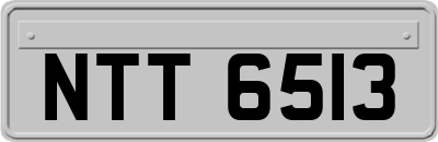 NTT6513