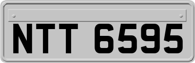 NTT6595