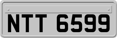 NTT6599