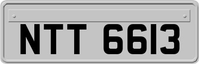 NTT6613