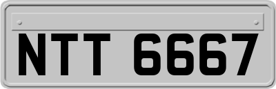 NTT6667