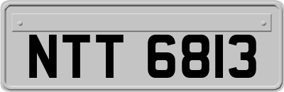 NTT6813