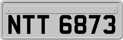 NTT6873
