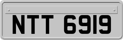 NTT6919