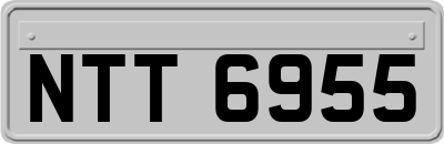 NTT6955