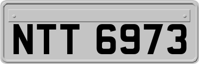 NTT6973