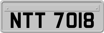 NTT7018