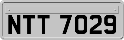 NTT7029