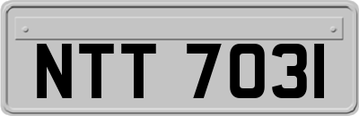 NTT7031