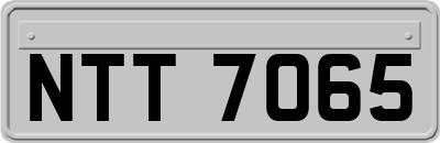 NTT7065