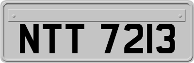 NTT7213