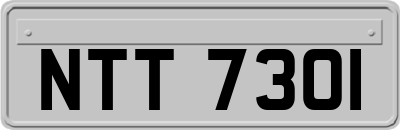 NTT7301